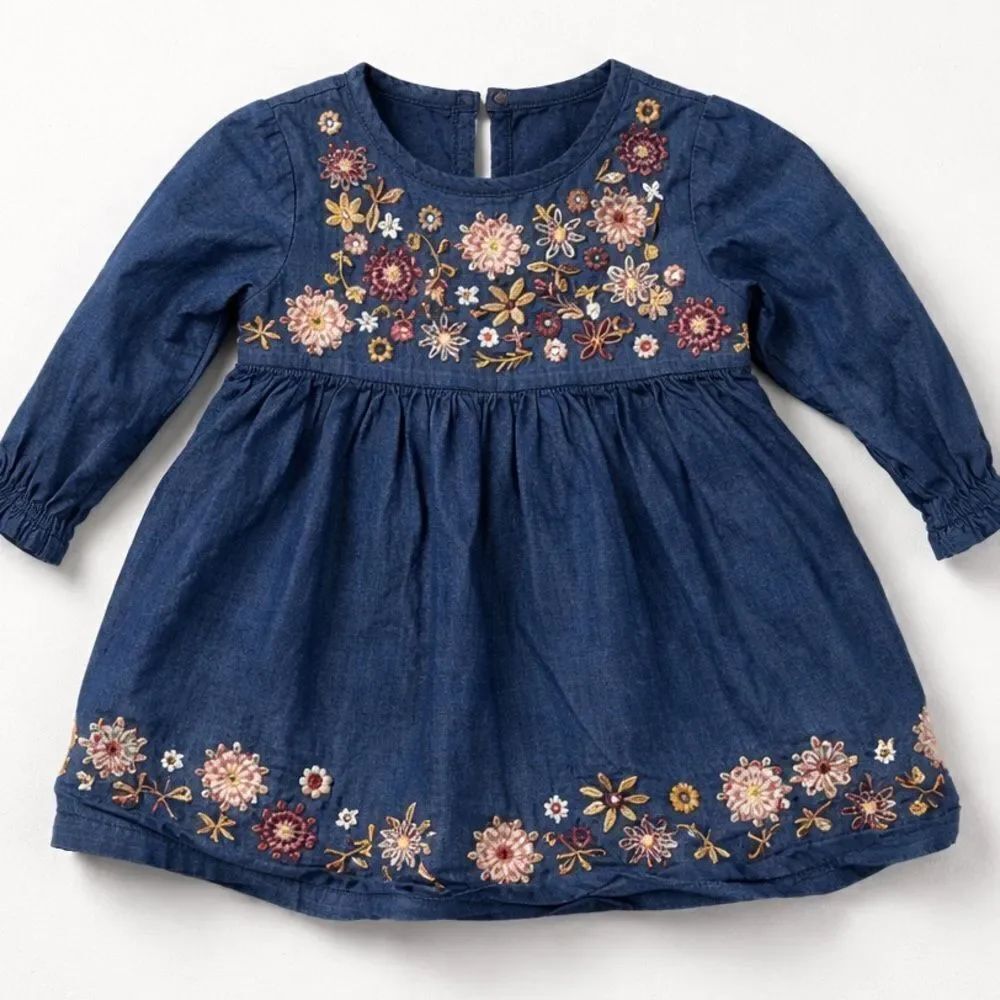 Mud Pie Blue chambray floral embroidered long sleeve dress size 3-6 months